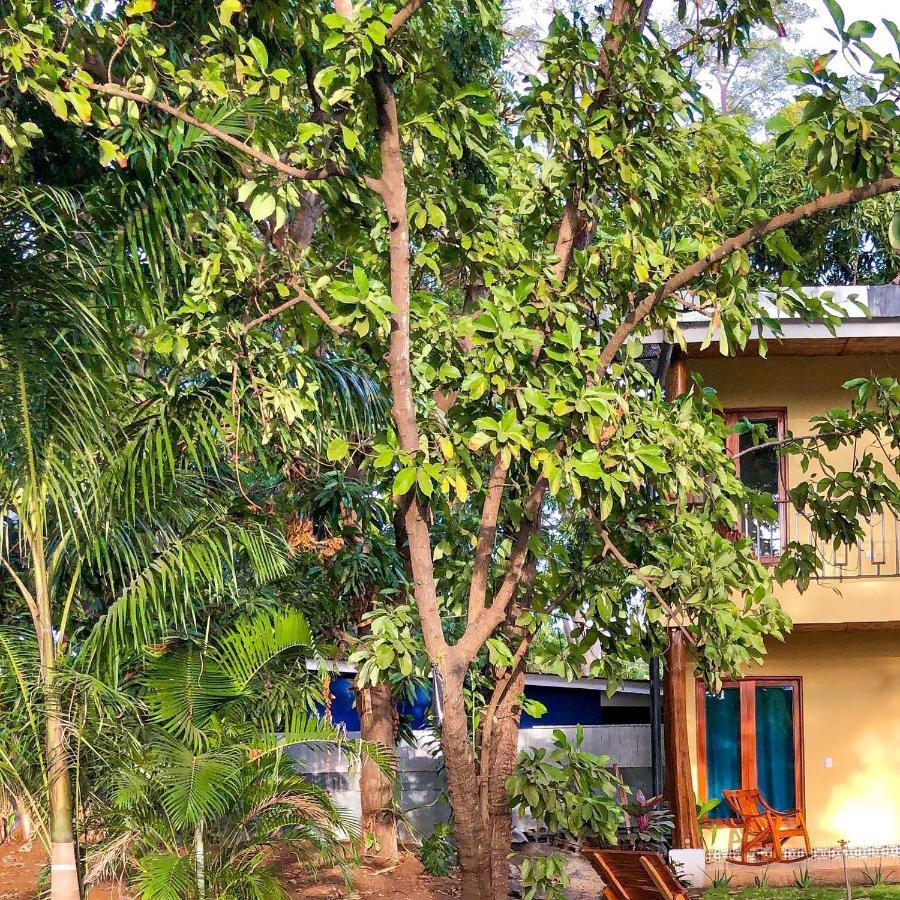 Casa Inti Guesthouse & Lodge Managua Eksteriør billede