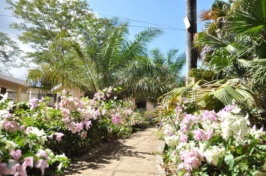 Casa Inti Guesthouse & Lodge Managua Eksteriør billede