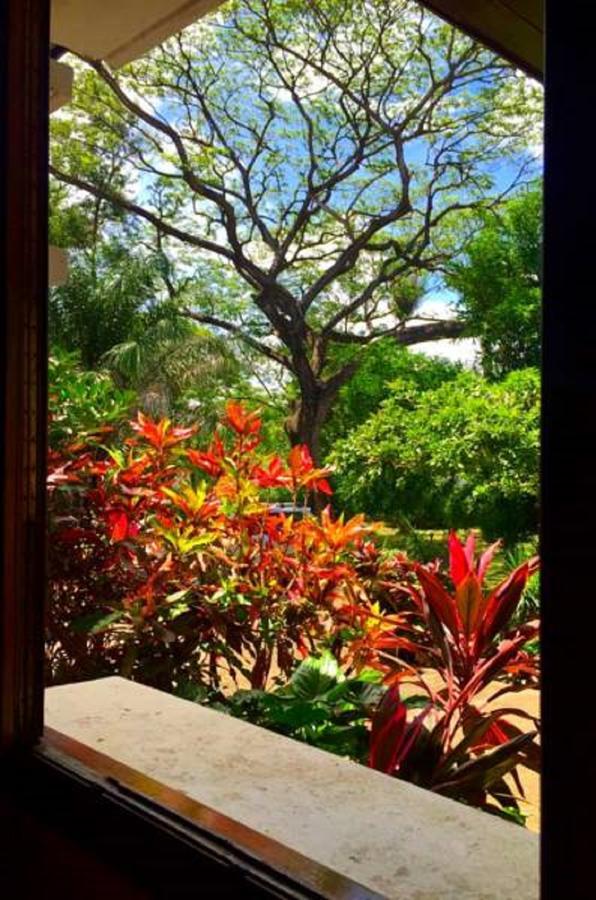 Casa Inti Guesthouse & Lodge Managua Eksteriør billede